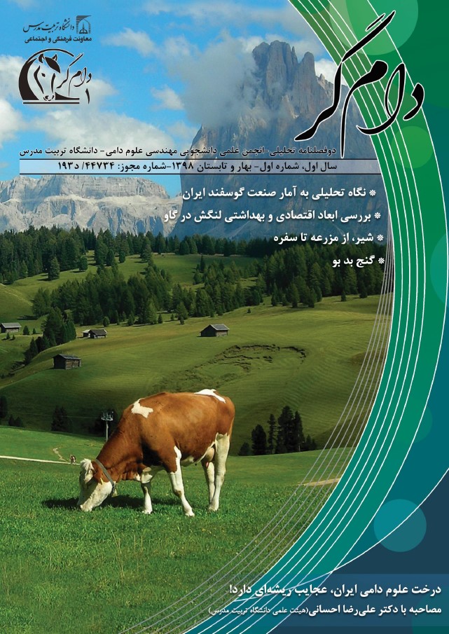 دام‌گر