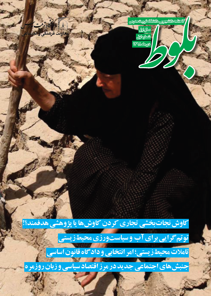 بلوط