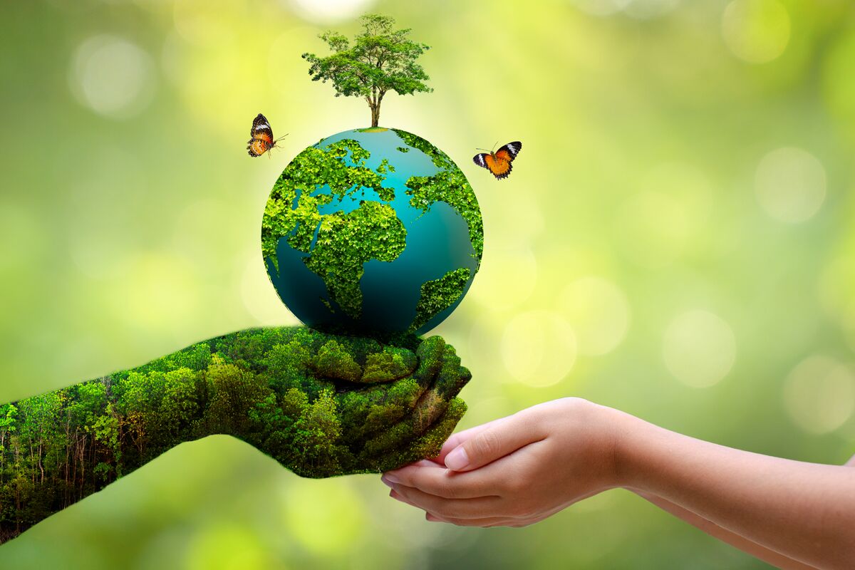 Earth Science and Remediation