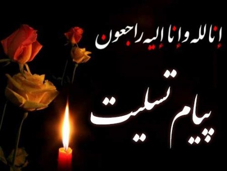 پیام تسلیت وزیر علوم در پی درگذشت برادر رئیس دانشگاه تربیت مدرس